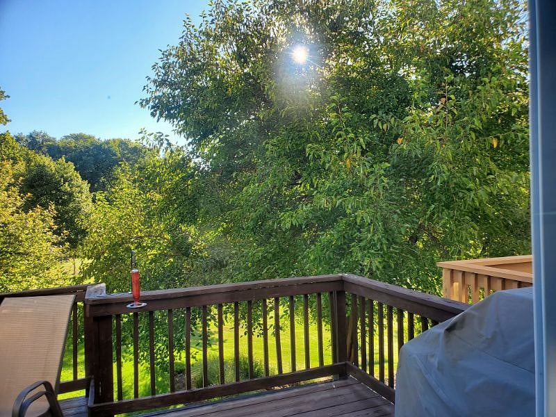 Furnished Finder property 424314_1 photo 7