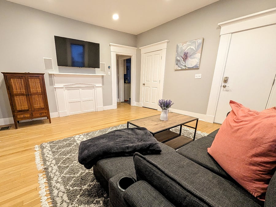 Living room with wall-mounted TV, Roku, storage, and laundry.