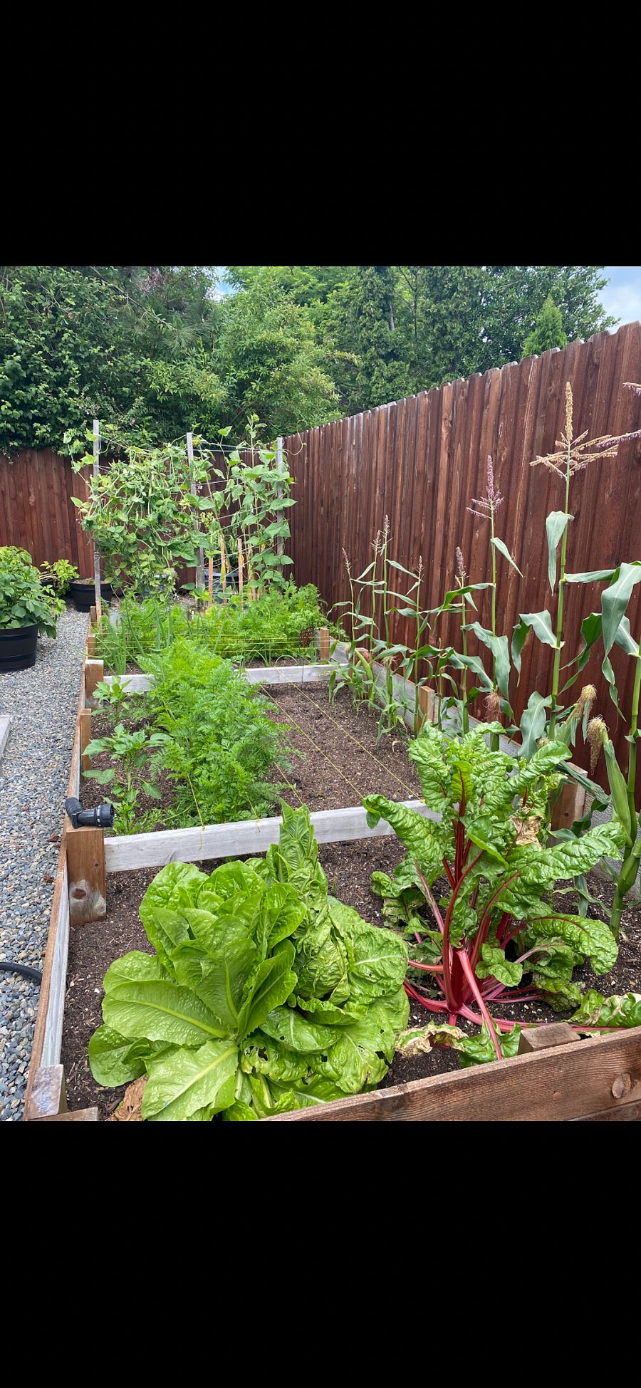 Garden space available behind studio