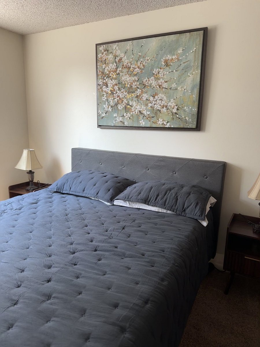 Furnished Finder property 424666_2 photo 13