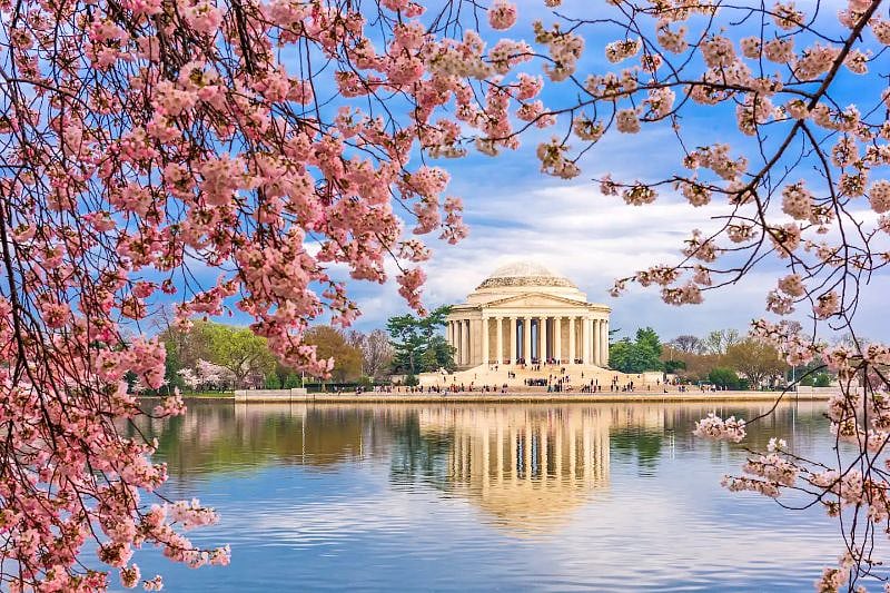 Downtown DC - 40 min drive