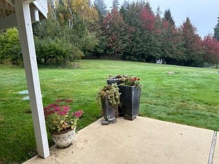 From patio - looking north