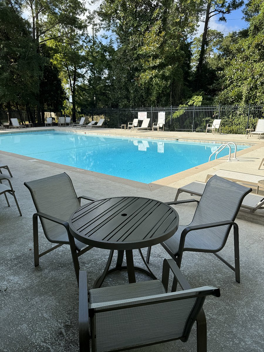 Furnished Finder property 425129_1 photo 11