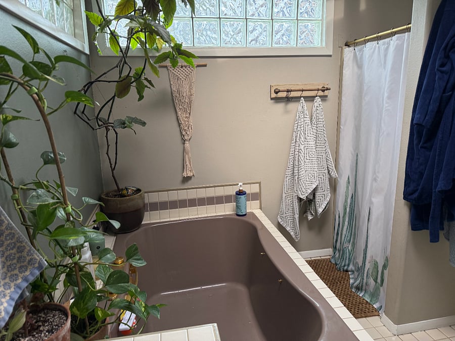 Furnished Finder property 425446_1 photo 16