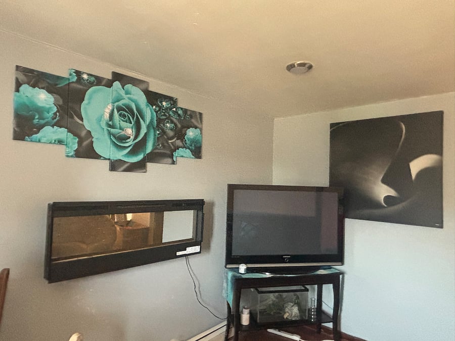 Furnished Finder property 425470_1 photo 4