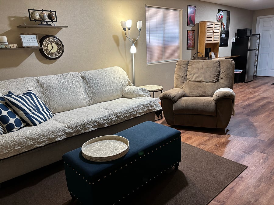 Lower Level Living Room