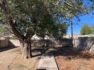Back Parking area. 60-YO mulberry tree...Great space in the summer time!