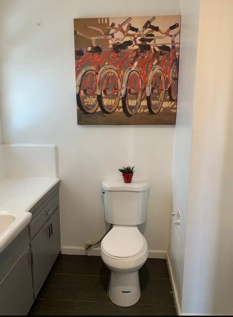 Furnished Finder property 425790_2 photo 7