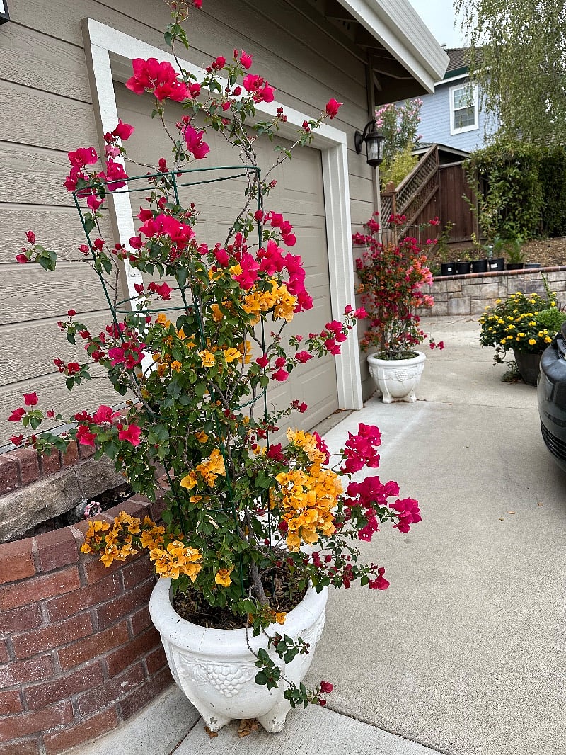 Furnished Finder property 425826_1 photo 11