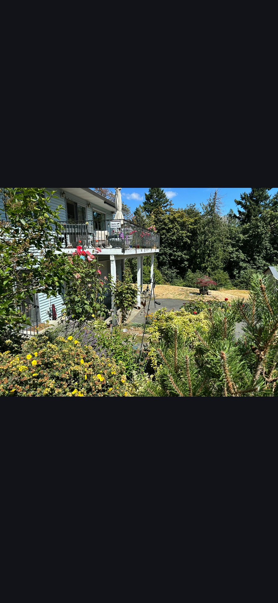 Tucked away and private mature shrubs and flowers screen the space from the road and upper driveway.
