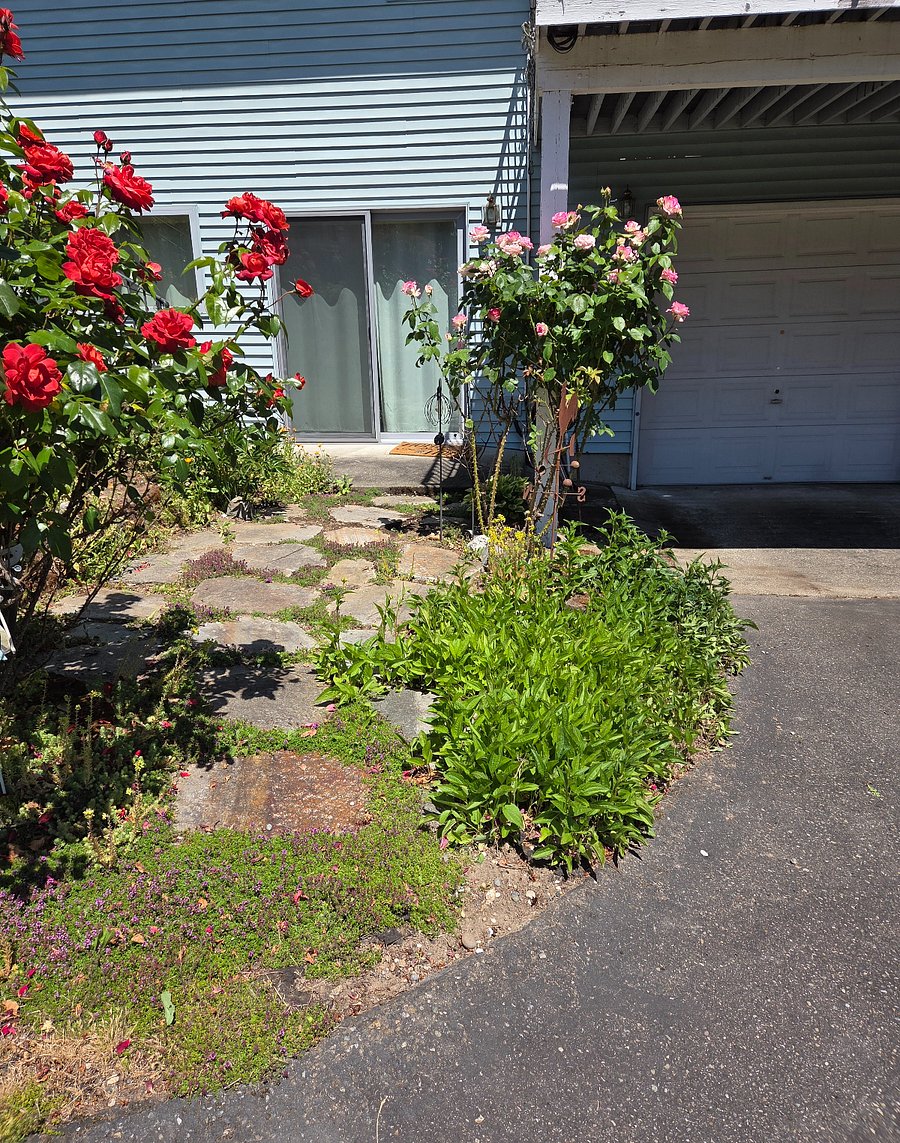 Pathway and your garage space. There are 2 steps from the garage up to the slider door. '26