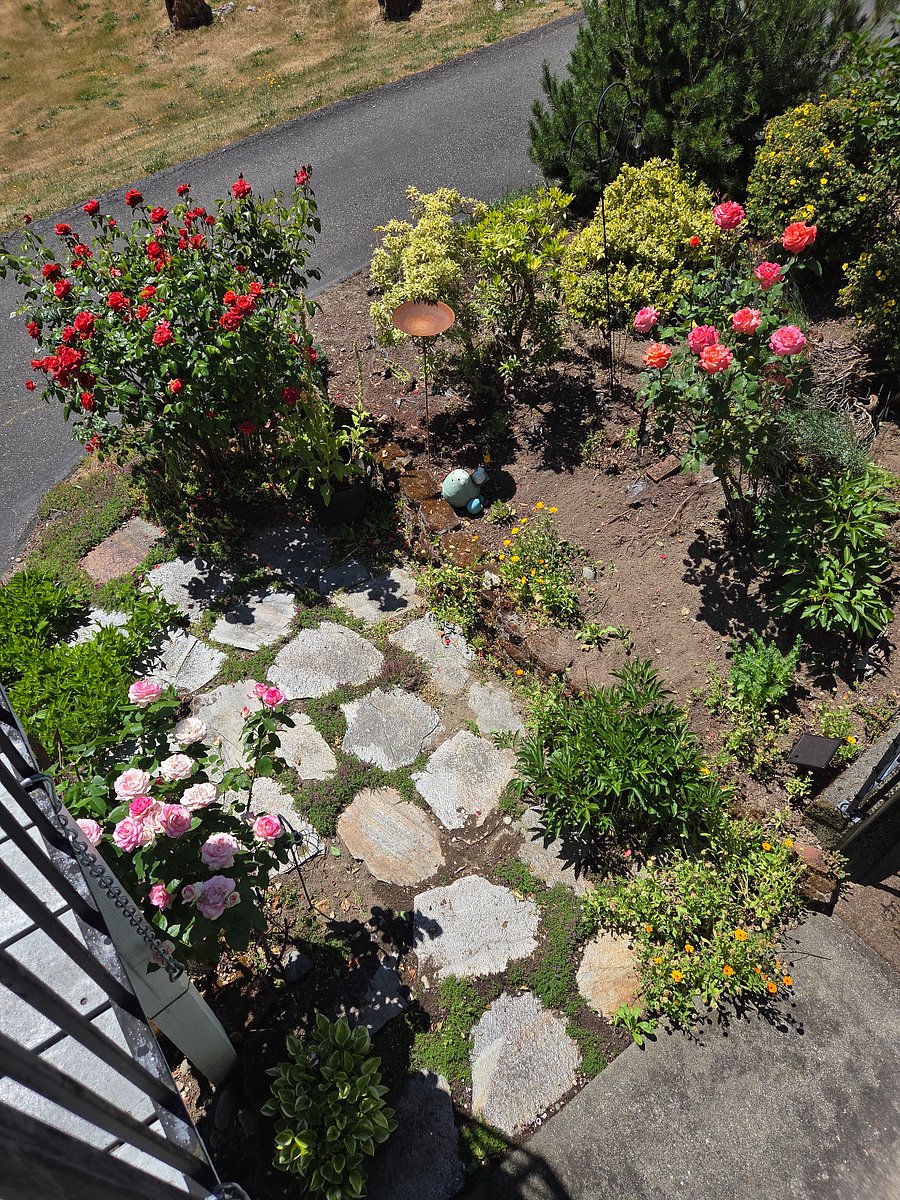 View of garden area from upper deck. '26