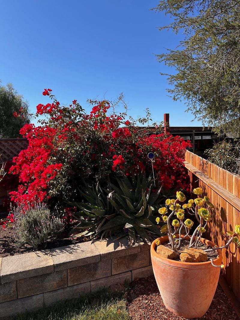 Furnished Finder property 426134_1 photo 4