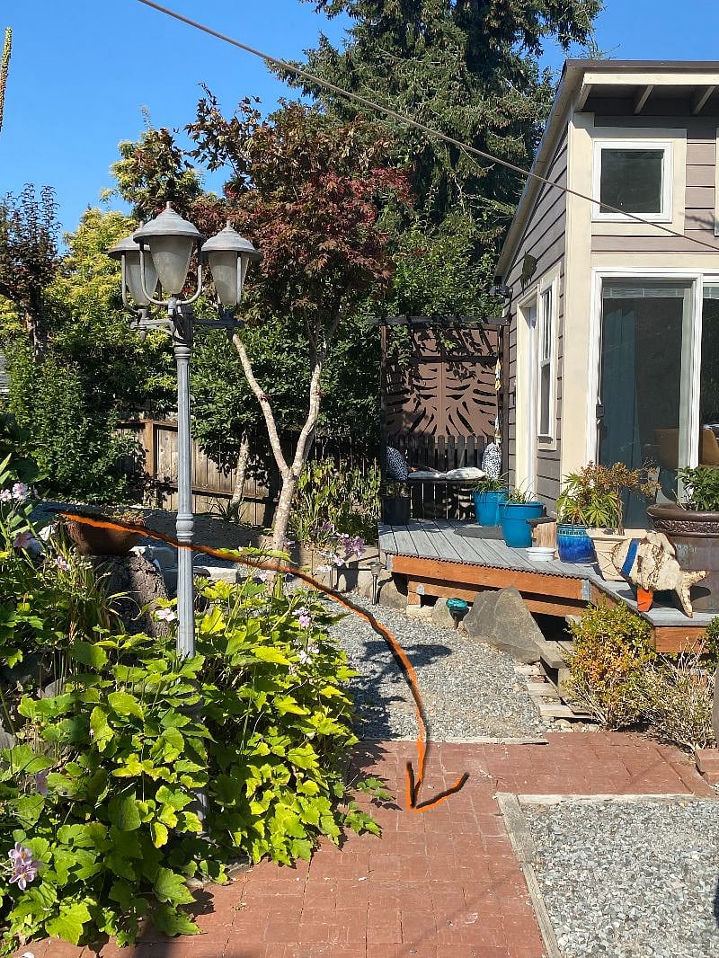 the path continues to the back of the house