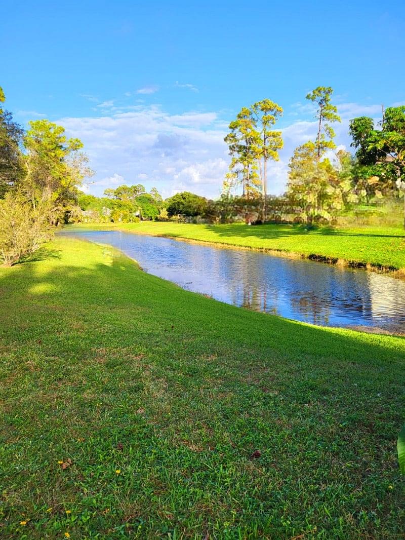 Furnished Finder property 426392_2 photo 13