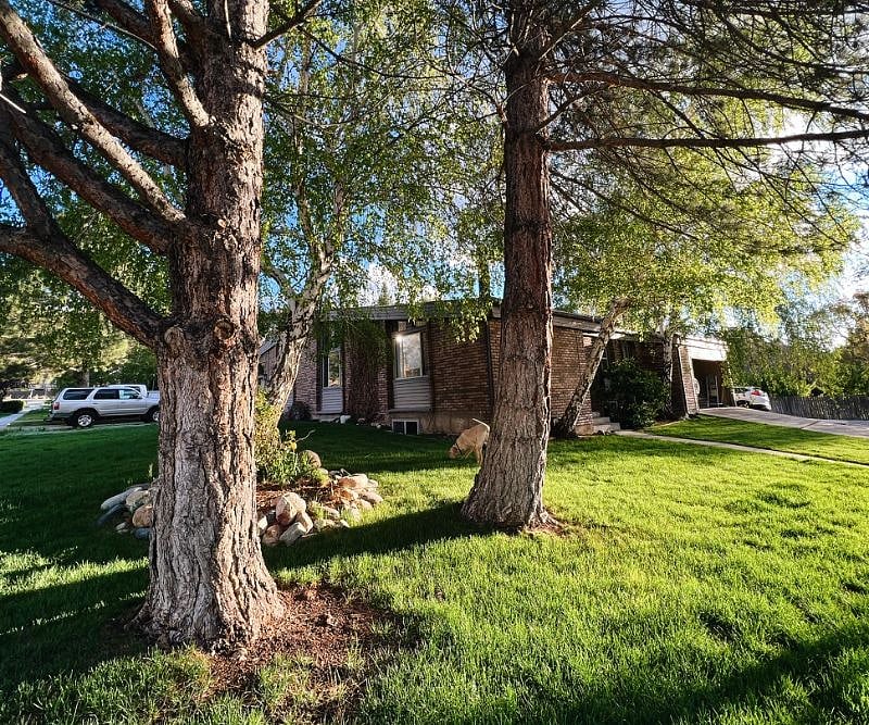 Furnished Finder property 426414_1 photo 2