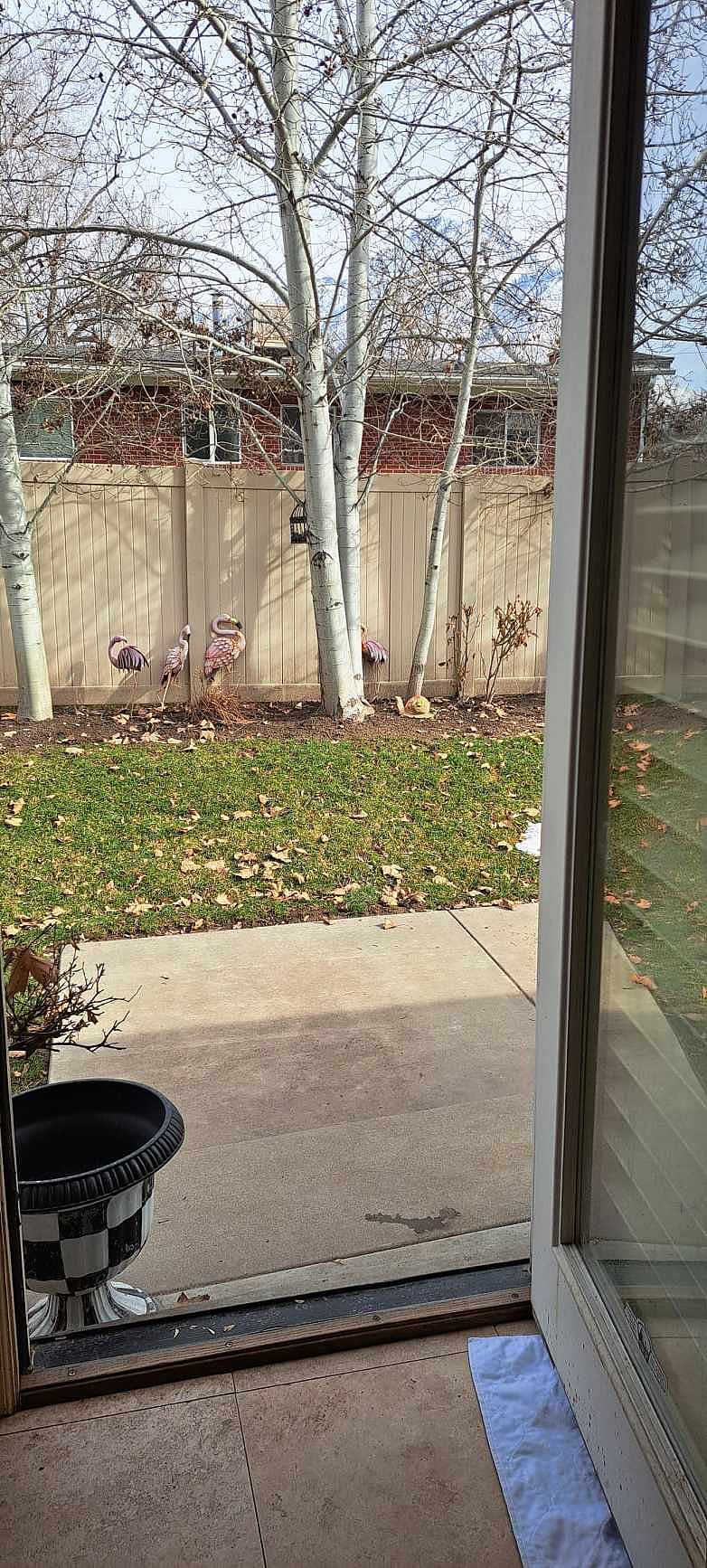 Exterior door to escape proof yard - we take care of clean-up.