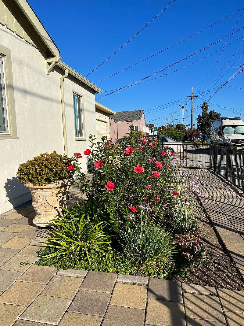 Furnished Finder property 426509_1 photo 7
