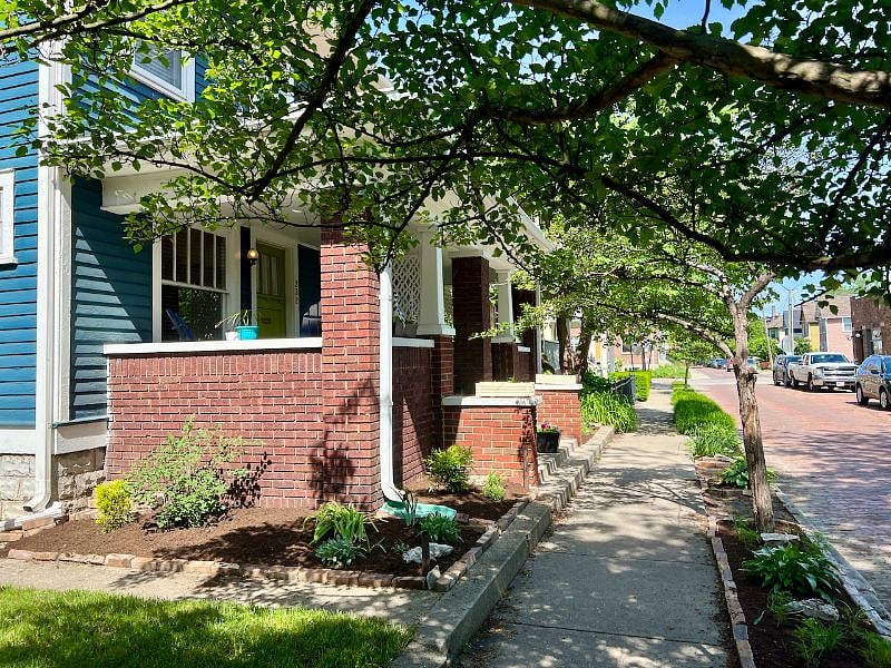 Brick street with lots of trees
