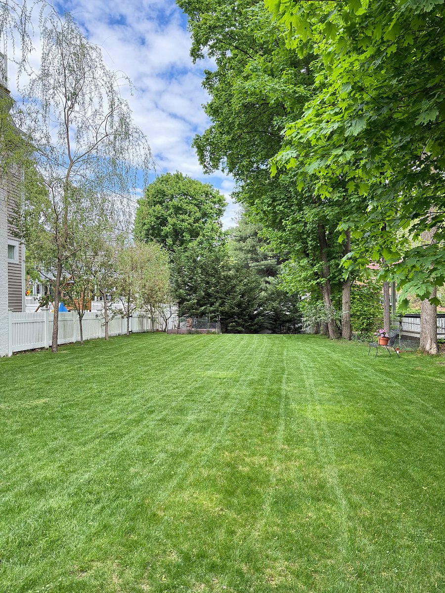 eyeful green spacious back yard