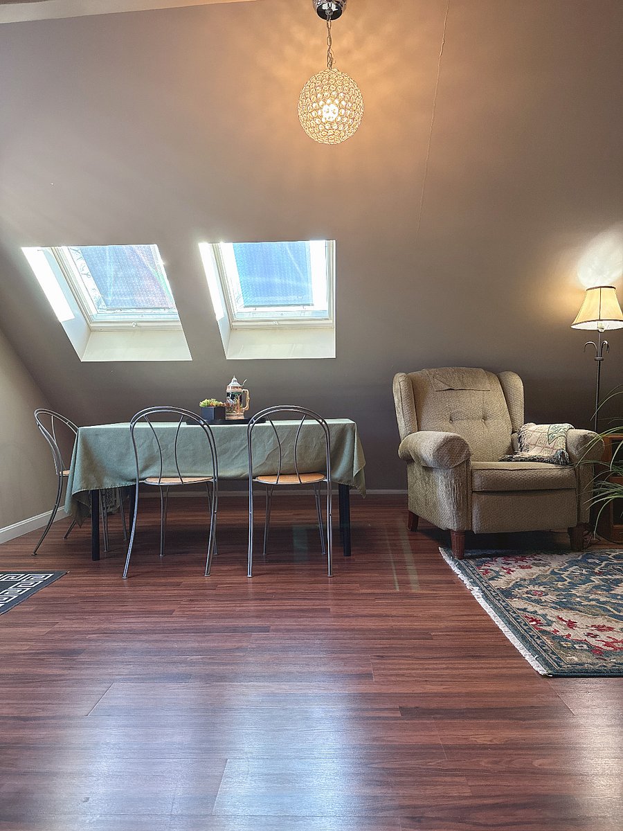 skylight window i