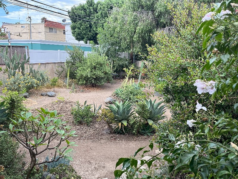 Garden area behind the entry deck.