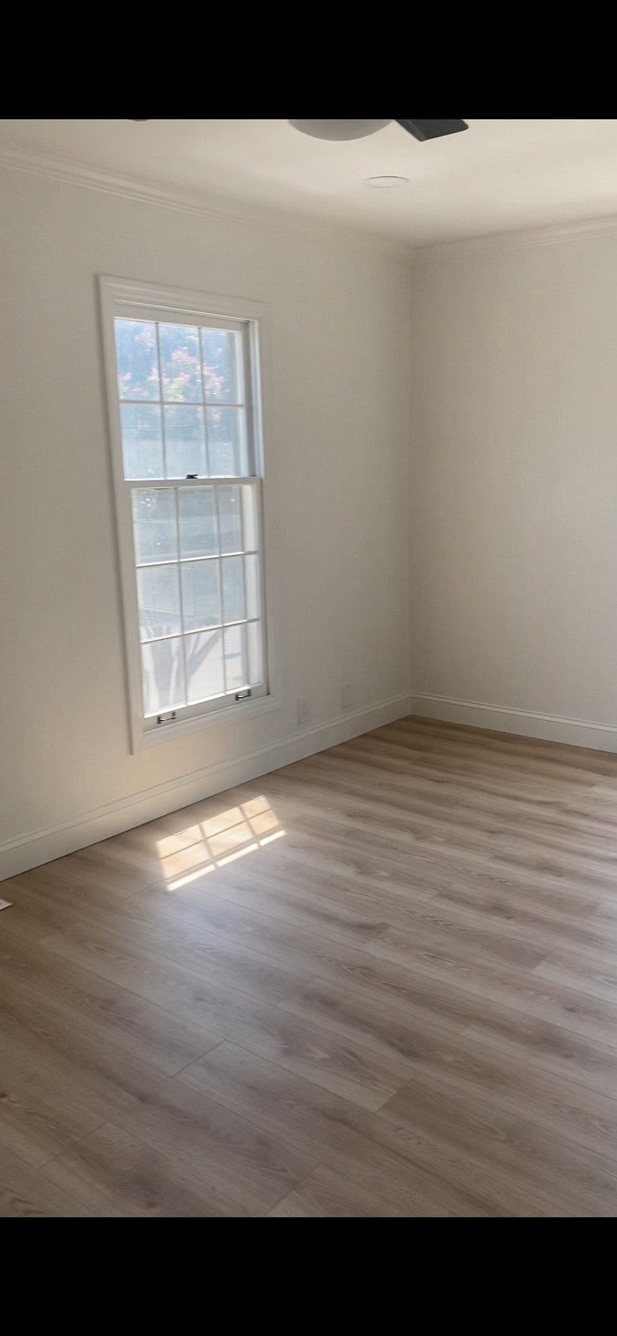 Furnished Finder property 426989_1 photo 18