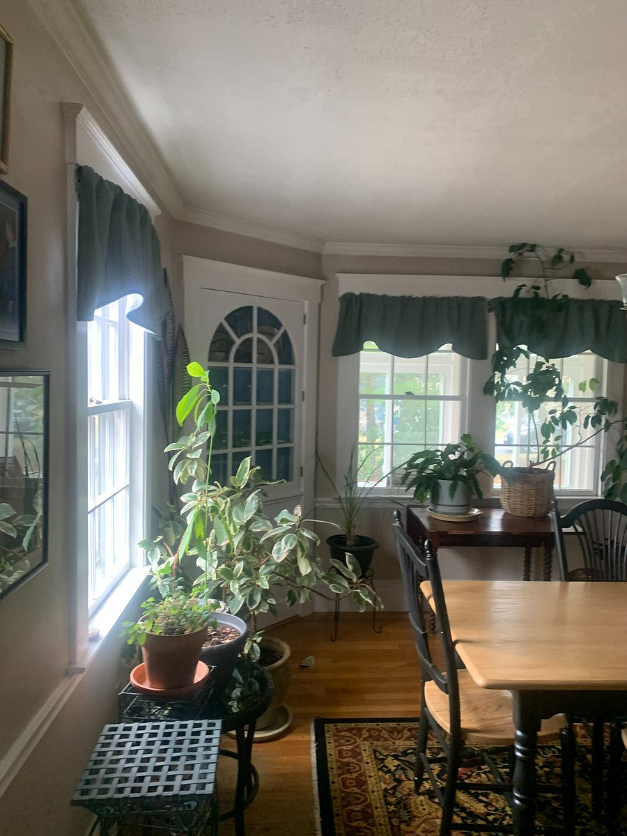 Furnished Finder property 427052_1 photo 3
