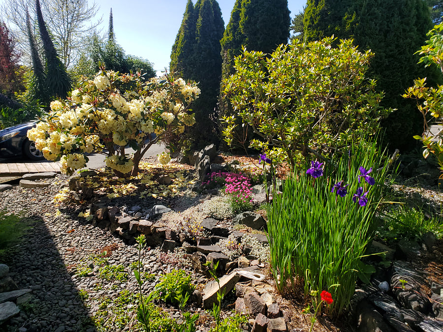 private front yard