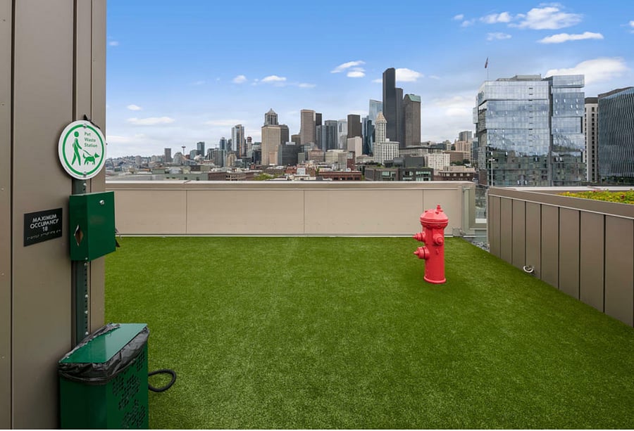 Furnished Finder property 427104_1 photo 22