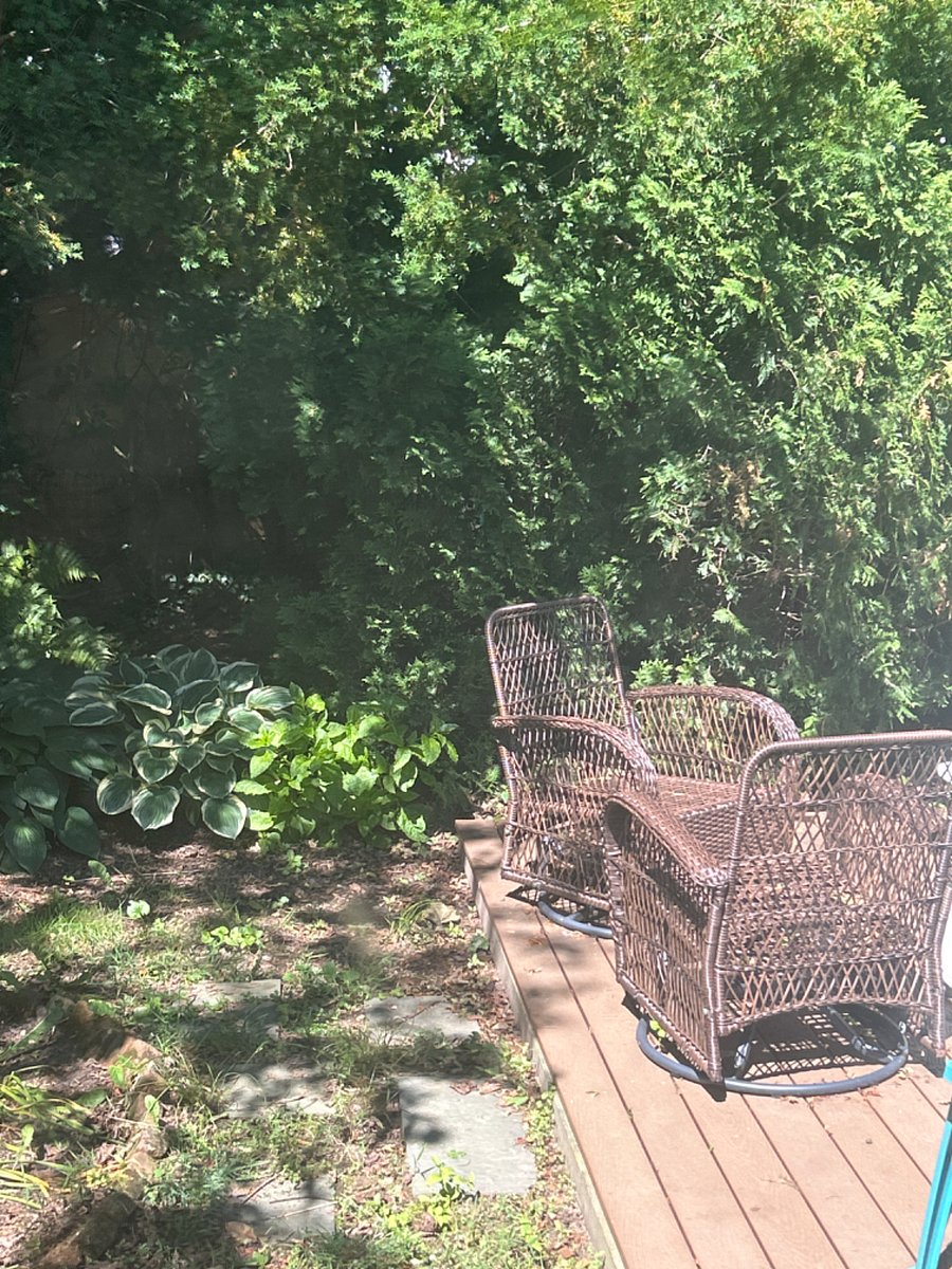 Furnished Finder property 427122_1 photo 17