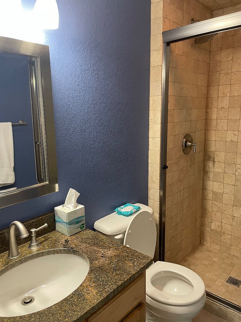 Basement Bathroom