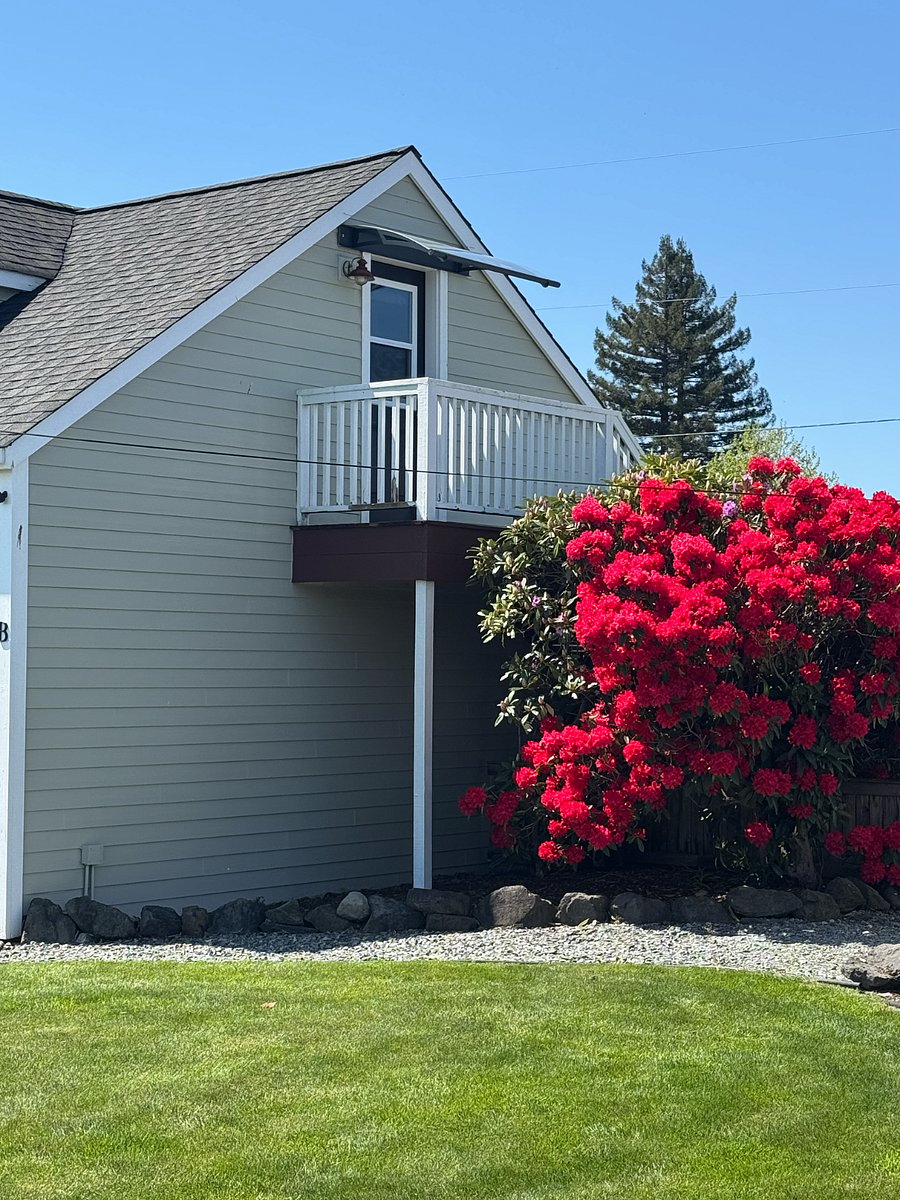 Furnished Finder property 427200_1 photo 13