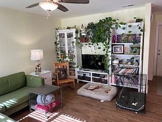 Furnished Finder property 427375_1 photo 6