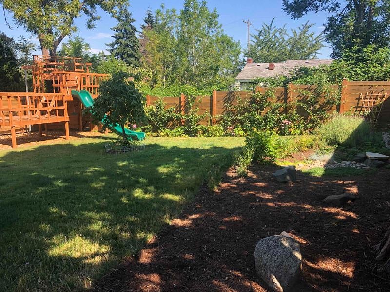 Fruit trees