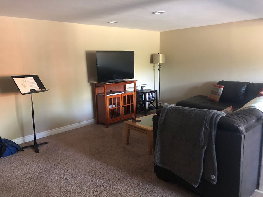 Living room with TV, coffee table and two couches. The flooring is now luxury vinyl plank (LVP) matching the kitchen (no carpet).