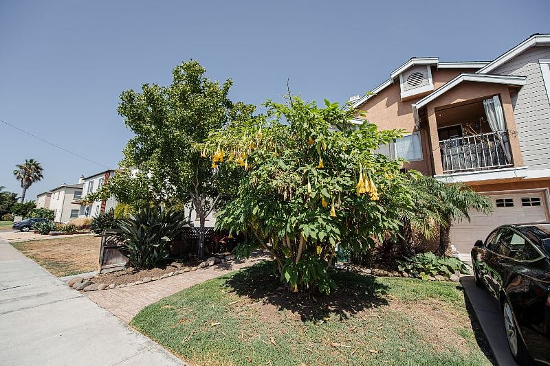 Furnished Finder property 427580_1 photo 25