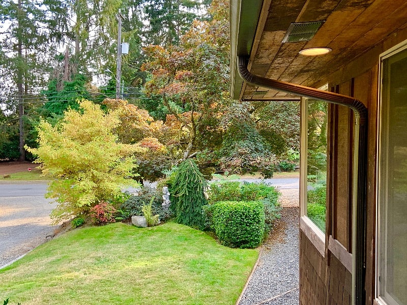 Front yard
