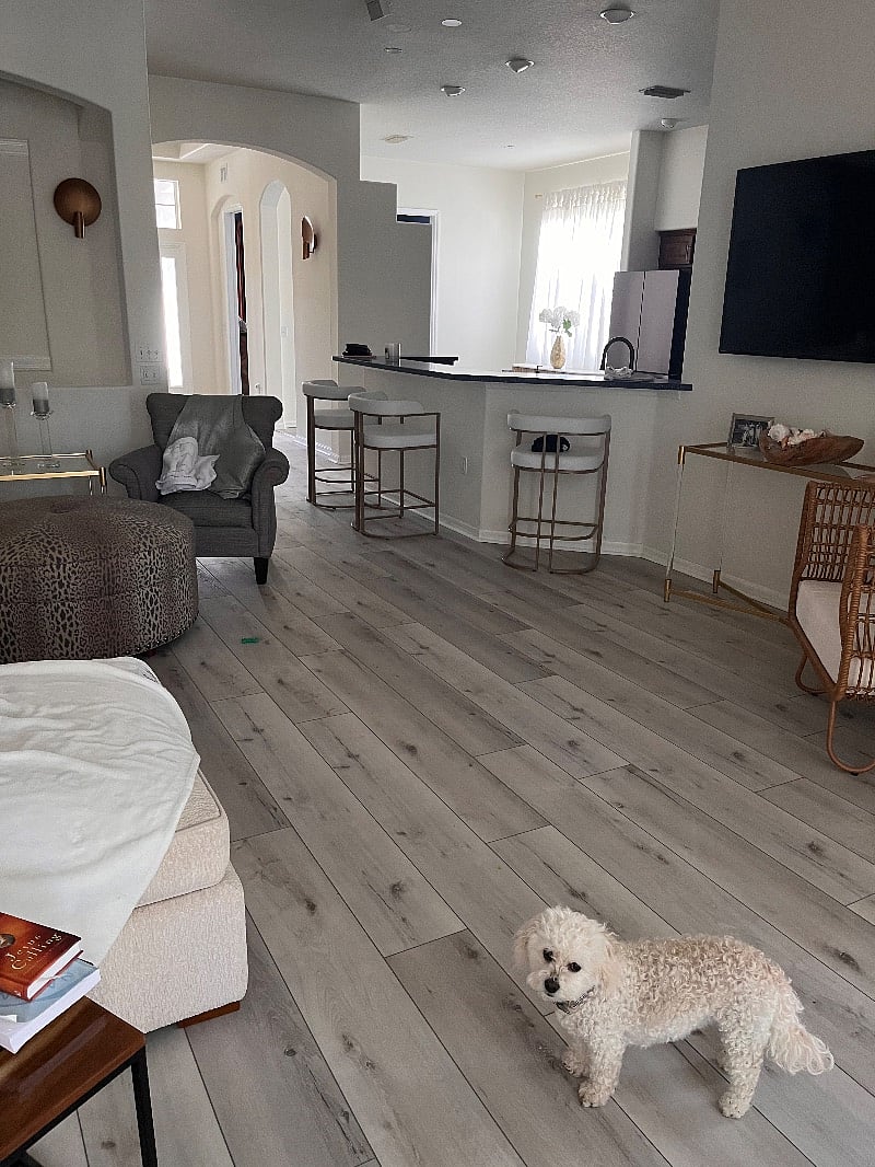 Furnished Finder property 427779_1 photo 7