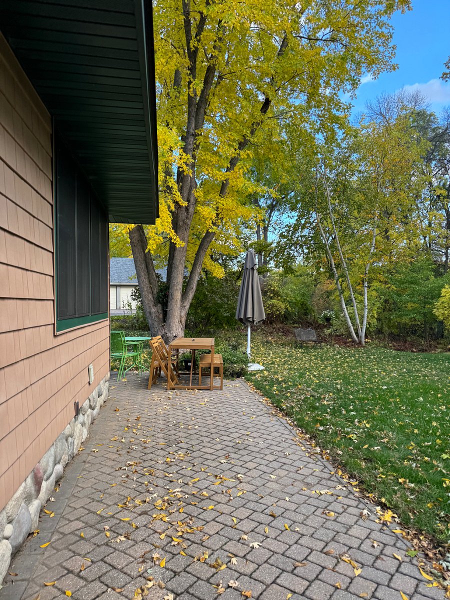 Back patio