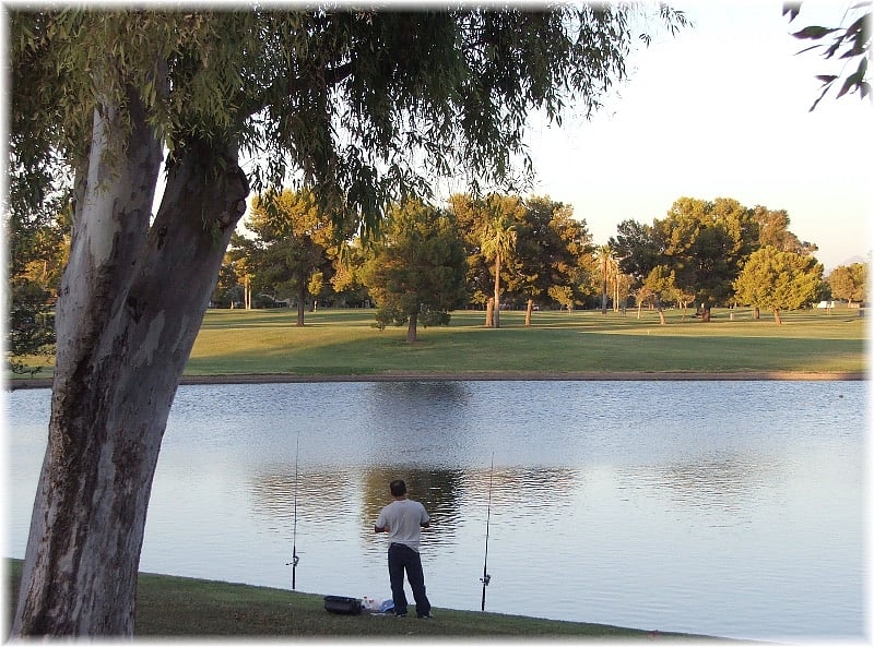 One of the many lakes in Dobson Ranch.