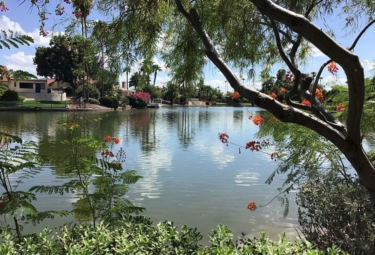Views from the walking paths never disappoint. Plenty of ducklings in the spring!