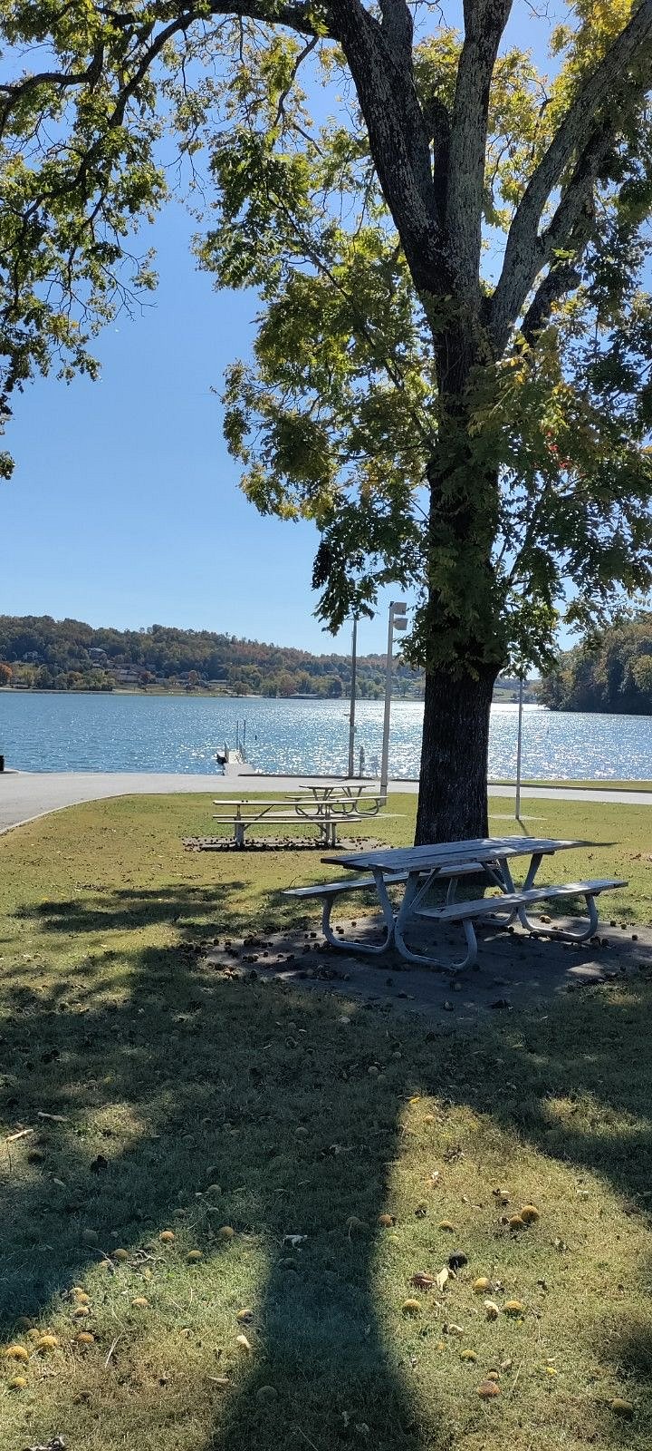 Kingston City Park picnic