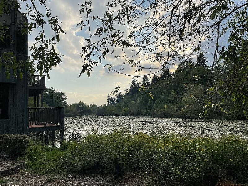 Pond