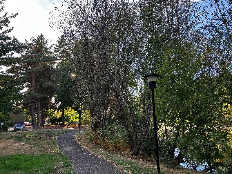 Community outdoor area full of sounds of nature