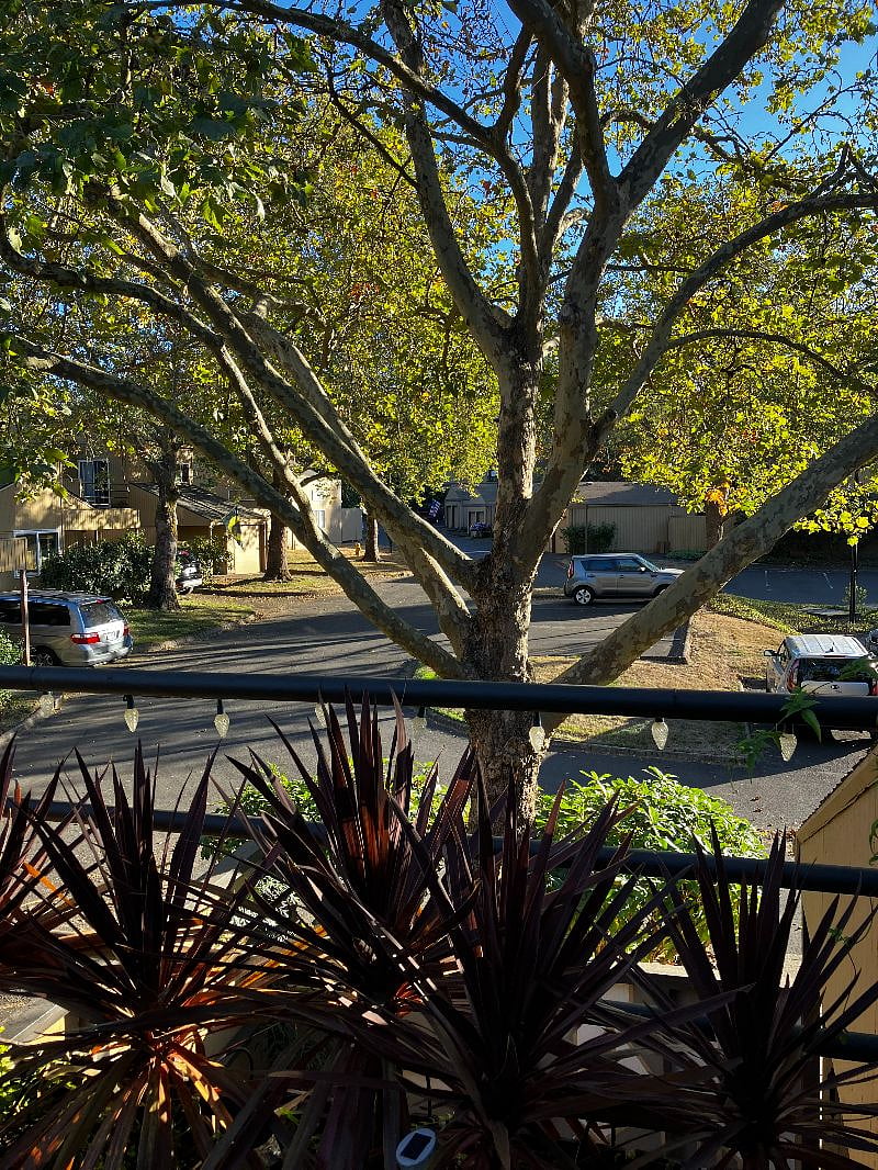 View from the second-floor courtyard