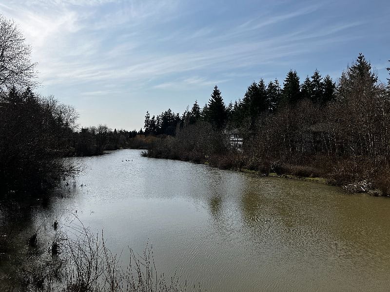 Pond
