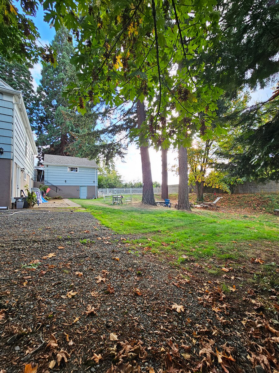 Furnished Finder property 428357_1 photo 14