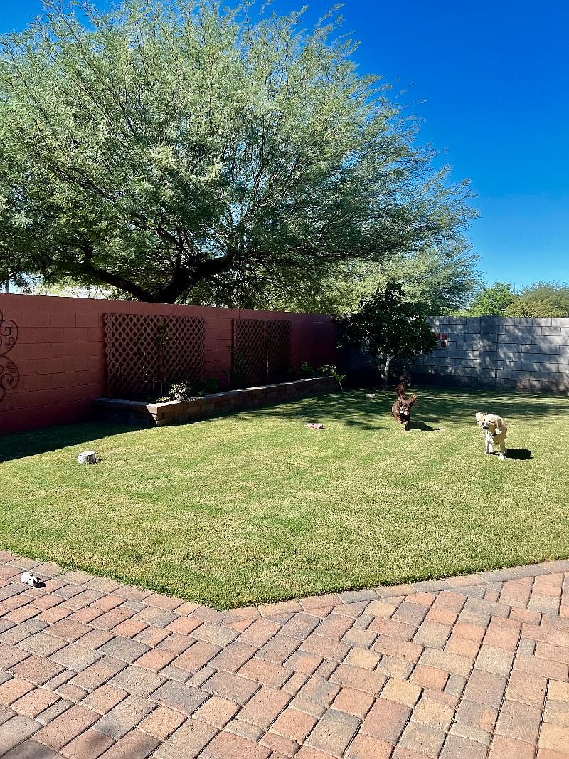 Furnished Finder property 428490_1 photo 12