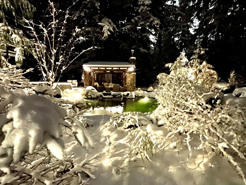 snow scapes (if we are lucky)